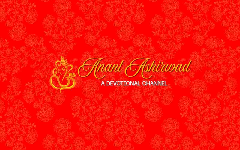 Welcome to Jungle1...