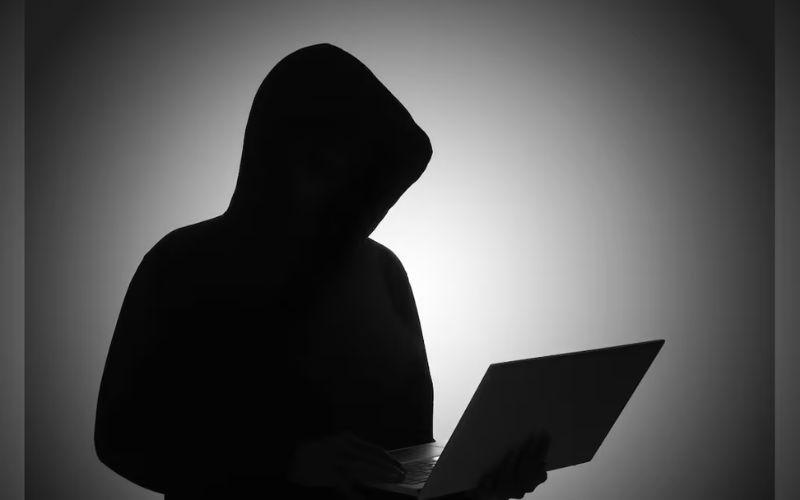 केरल में साइबर वित्तीय अपराधों के लिए 263 गिरफ्तार, 382 मामले दर्ज