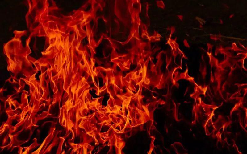 Jaipur: रिसॉर्ट में लगी आग, टेंट जलकर राख, बाल-बाल बचे पर्यटक