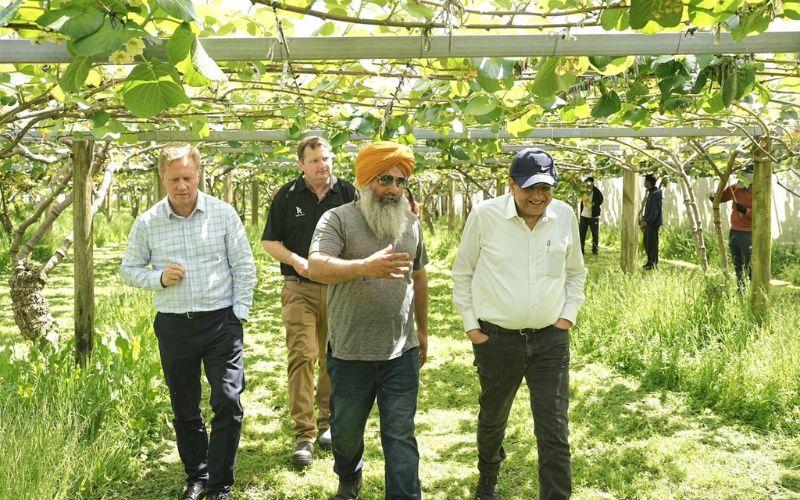 केंद्रीय मंत्री पीयूष गोयल ने ते पुके कीवी फ्रूट के बगीचे का किया दौरा, भारतीय किसानों से की खास बातचीत