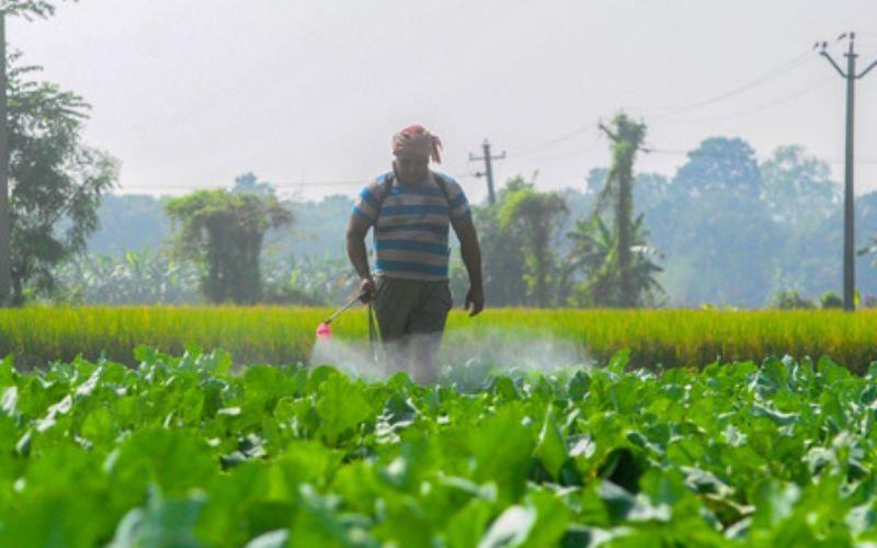फर्टिलाइजर की कालाबाजारी और जमाखोरी पर सरकार की बड़ी कार्रवाई, 4 हजार से अधिक लाइसेंस रद्द किए