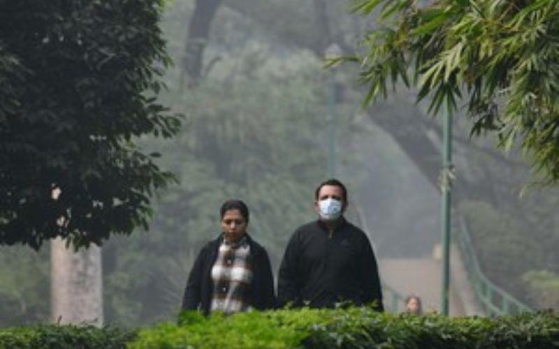 Stray Dogs: नसबंदी अभियान फेल, सुप्रीम कोर्ट के निर्देशों की उड़ाई धज्जियां