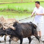 मध्यप्रदेश में भ्रष्टाचार गजब मामला, 4 लीटर पेंट की पुताई और लगा दिए 168 मजदूर