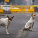 कैदियों को लेकर SC का बड़ा फैसला, अधिक समय तक बंद दोषी को रिहा करें