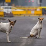 फेमस एक्टर को सुप्रीम कोर्ट से बड़ा झटका, मर्डर केस में हो सकती है गिरफ्तारी