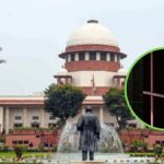 Delhi-NCR से आवारा कुत्तों को हटाना अमानवीय, अदूरदर्शी और करुणा को खत्म करने वाला कदम- राहुल गांधी