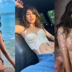 शिमला में दर्दनाक हादसा, पिकअप गाड़ी खाई में गिरी, 5 की मौत